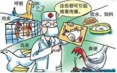 食品安全檢測(cè)儀器使用環(huán)境要求