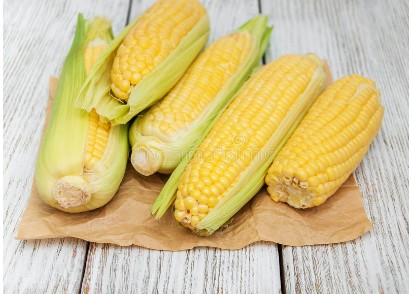 蔬菜農(nóng)殘檢測(cè)儀