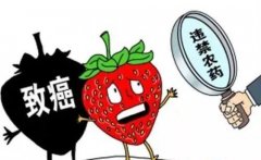 食品安全關系青少年成長