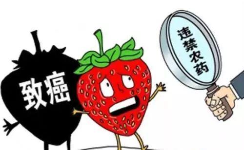 食品安全關系青少年成長