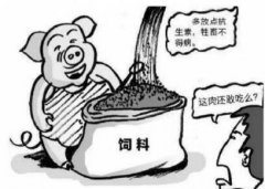 食品安全檢測儀的發展