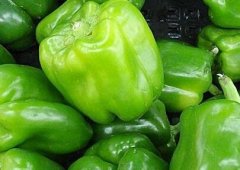 農(nóng)產(chǎn)品檢測(cè)需要食品快檢儀器