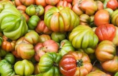 食品添加劑檢測(cè)儀源頭廠家很重要